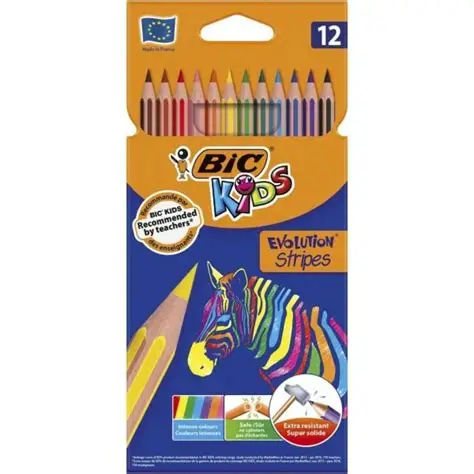 Pochette de 12 crayons de couleur BIC