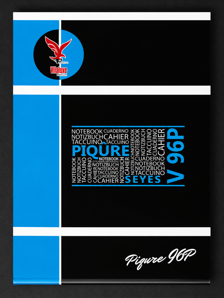 Cahier 21*29.7 96pages Vilaluxe