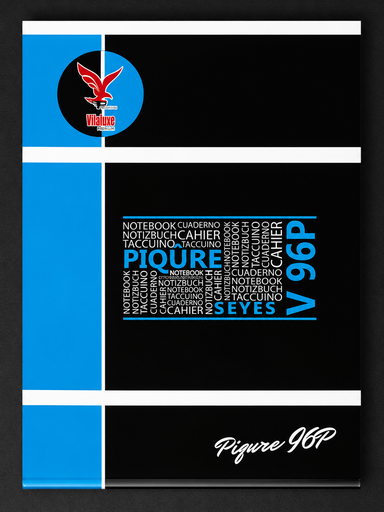 Cahier 21*29.7 96pages Vilaluxe